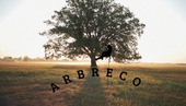 ARBRECO — paysagiste à Vallauris