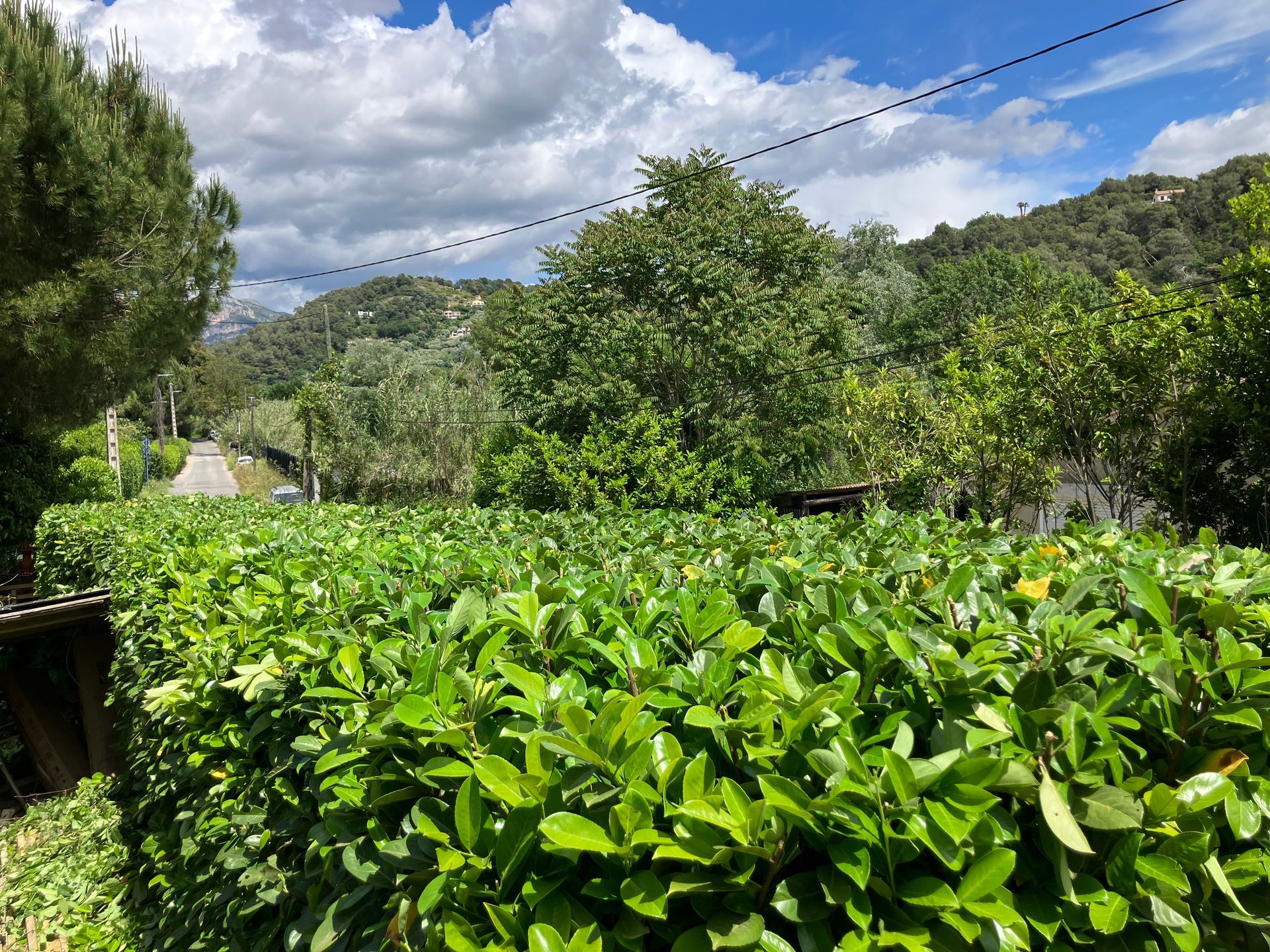 Création d'espaces verts à Vallauris — ARBRECO