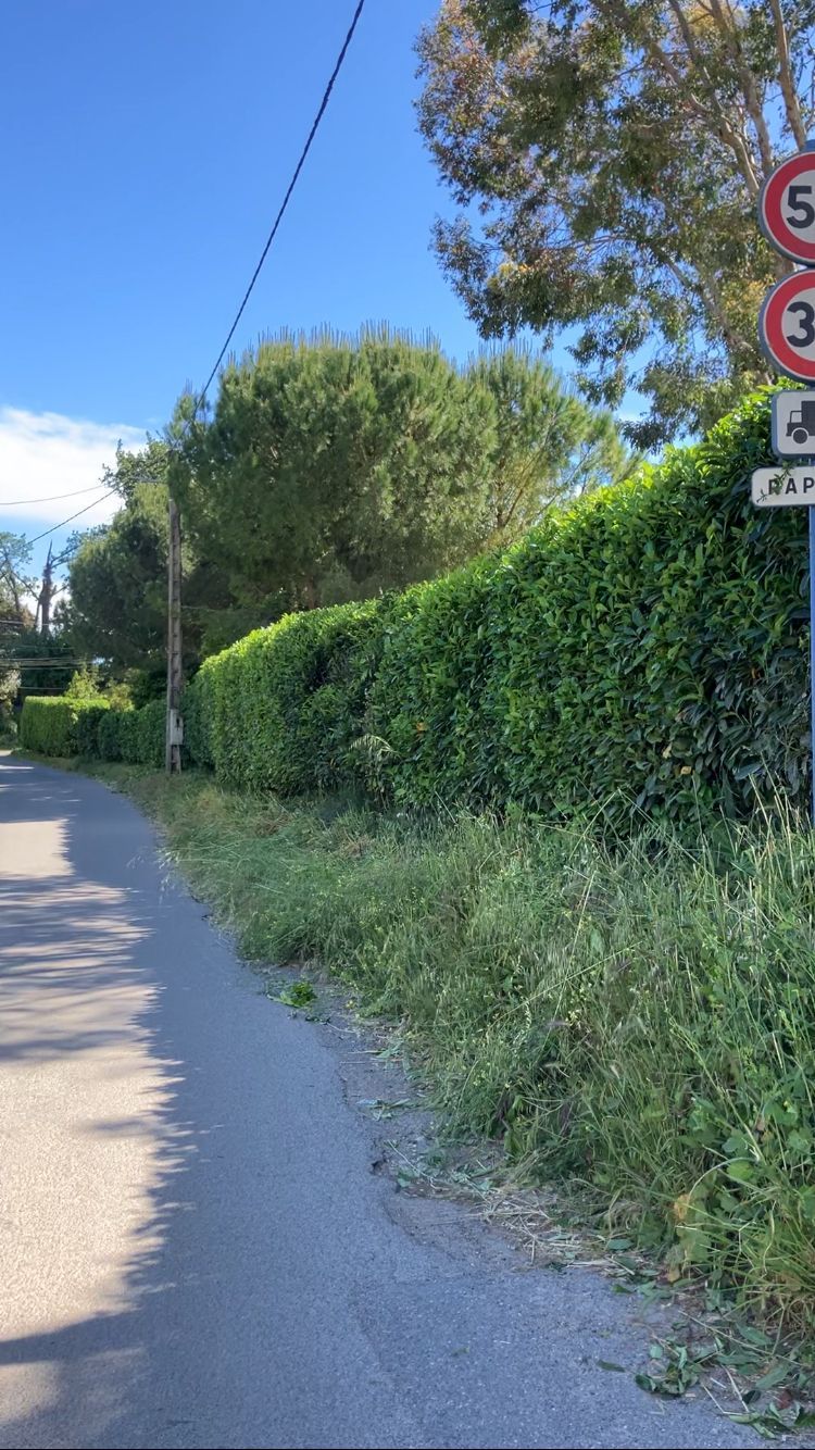 Remise en état de jardins à Vallauris — ARBRECO